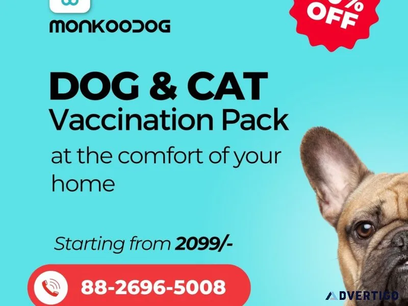 Accessible canine care: finding a dog veterinary near me