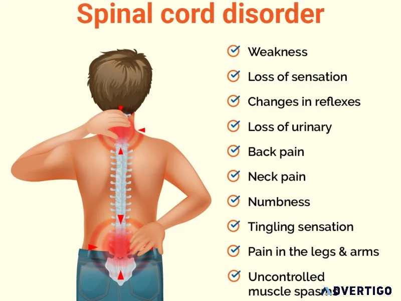 Best spine surgeon in hyderabad | spine doctor | skedoc