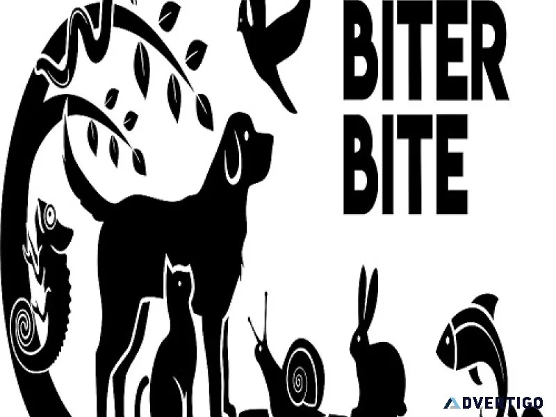 Expert tips and advice: your complete pets information resource