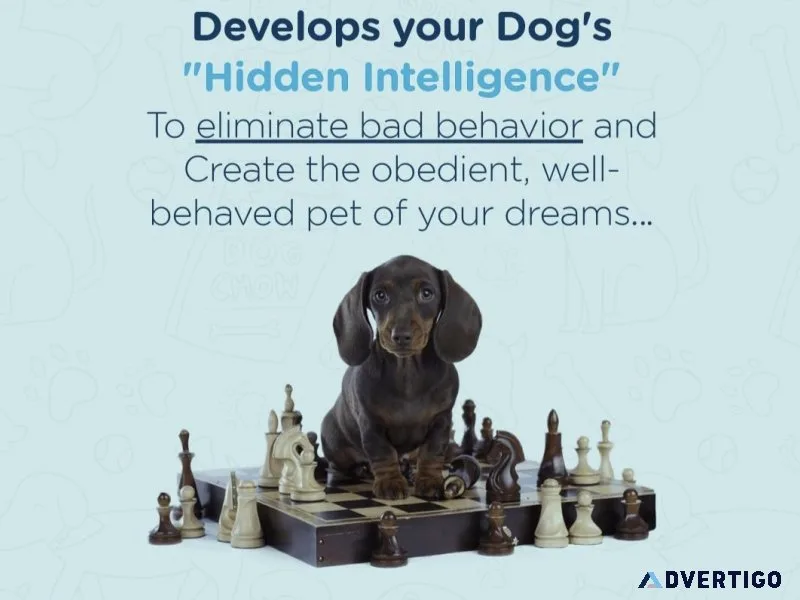 Develops your Dog s &quotHidden Intelligence&quot