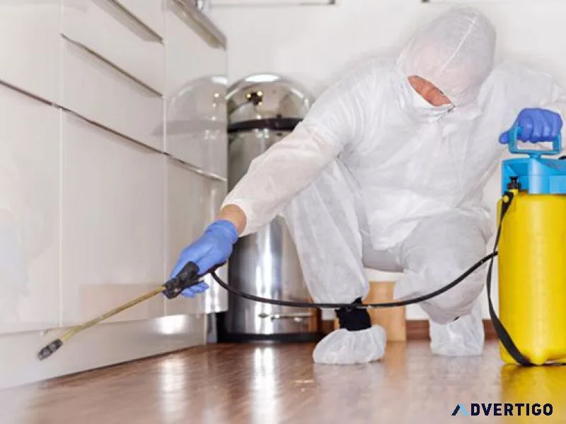 Pest control services sharjah & dubai