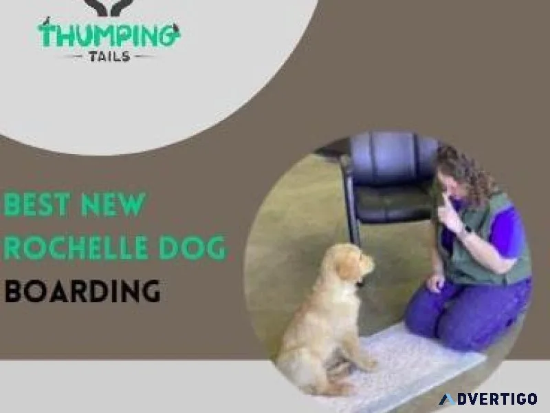 New Rochelle Dog Boarding