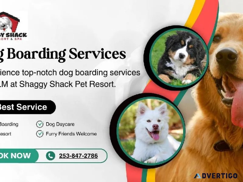 Premier Dog Boarding Services in JBLM  Shaggy Shack Pet Resort