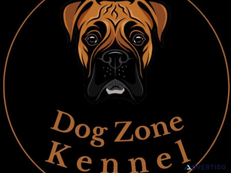 Puppies For Sale In Gurgaon