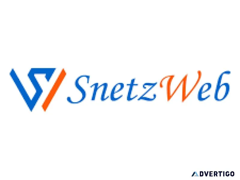Best website design company in ahmedabad | snetzweb