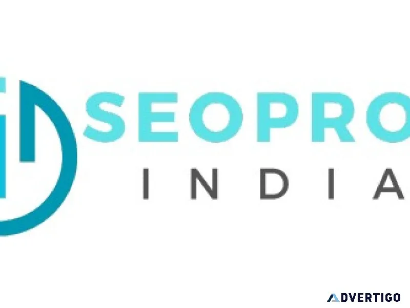 Professional seo services - seo pros india