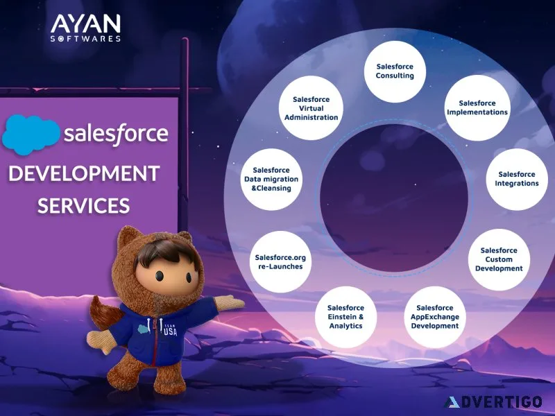 Salesforce development services