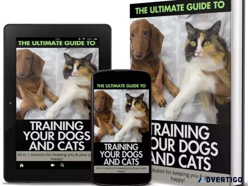 UNLOCK THE SECRETS OF PERFECT PET TRAINING