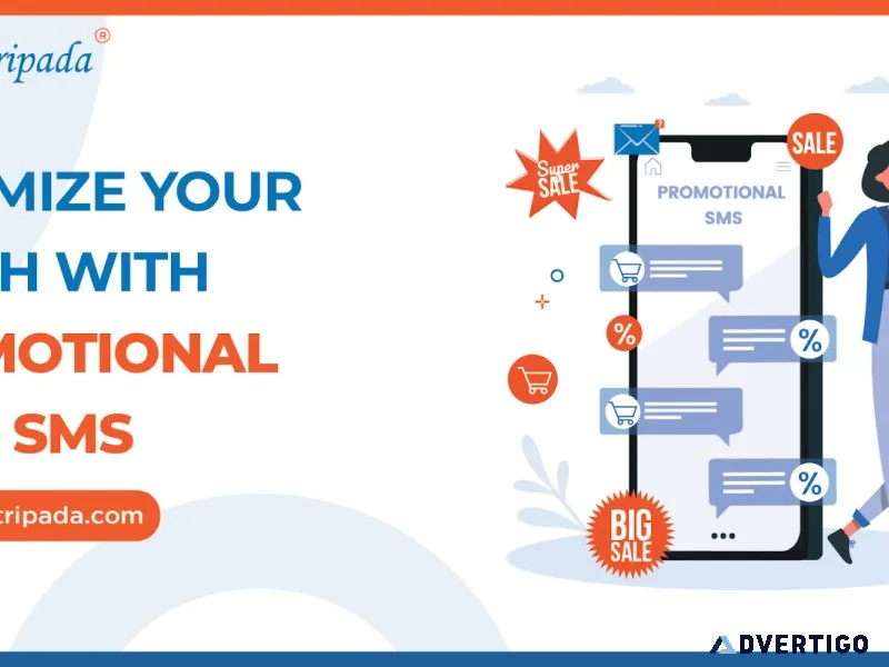 Promotional bulk sms service provider - shree tripada