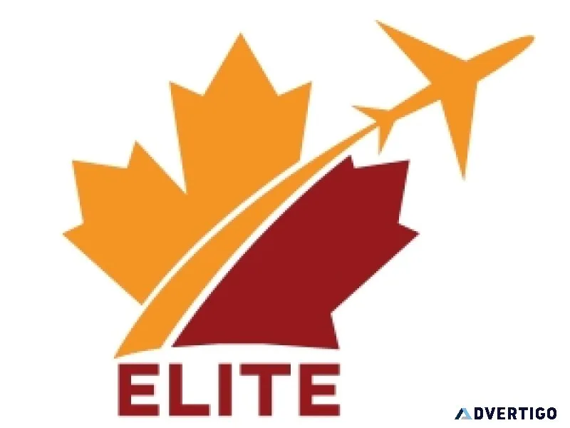 Contact immigration consultant in chandigarh