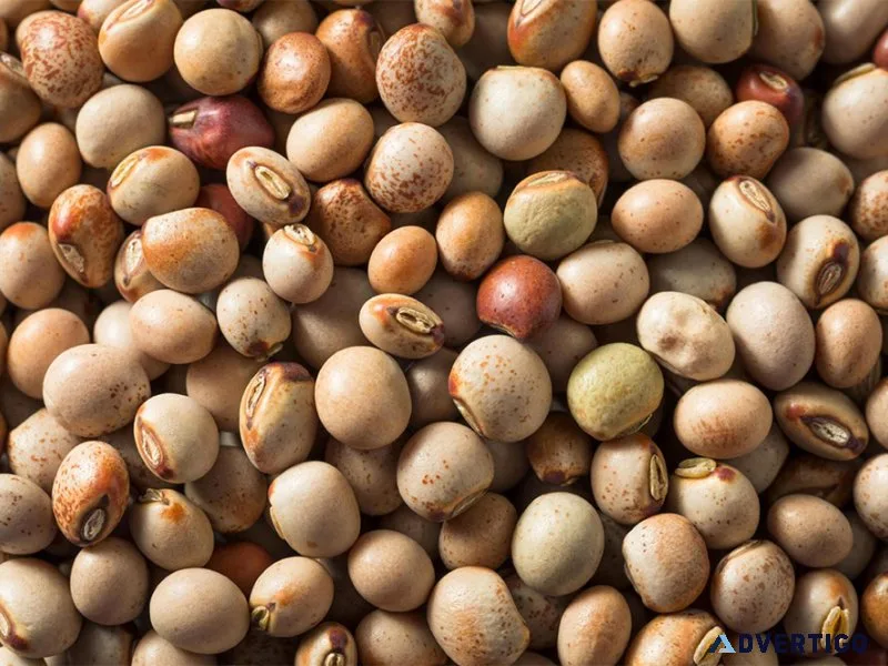 Cold storage services in jalgaon &raquo; srm group