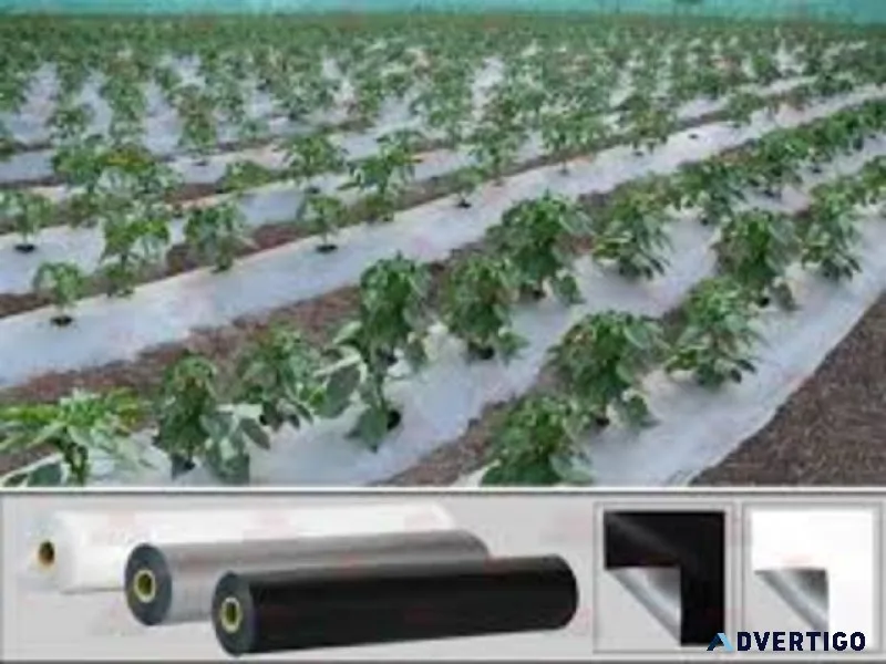 Agricultural mulch film