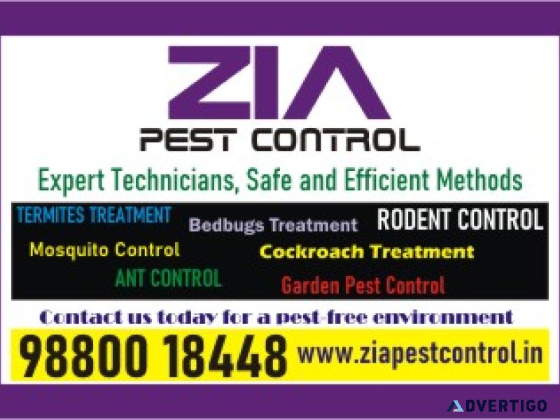 Bedbug treatment | ant and general pest control service | 1822