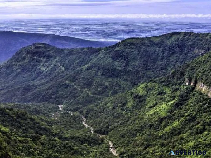 Experience the beauty of kaziranaga with upto 30 discount