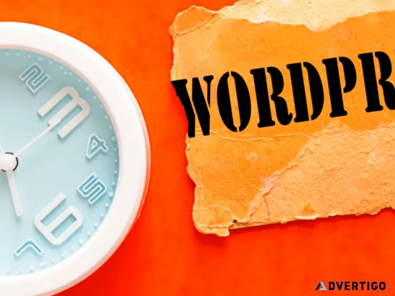 Wordpress development services in ahmedabad