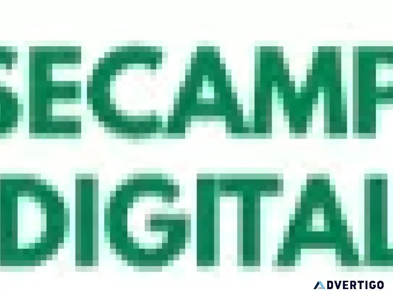 Online digital marketing course