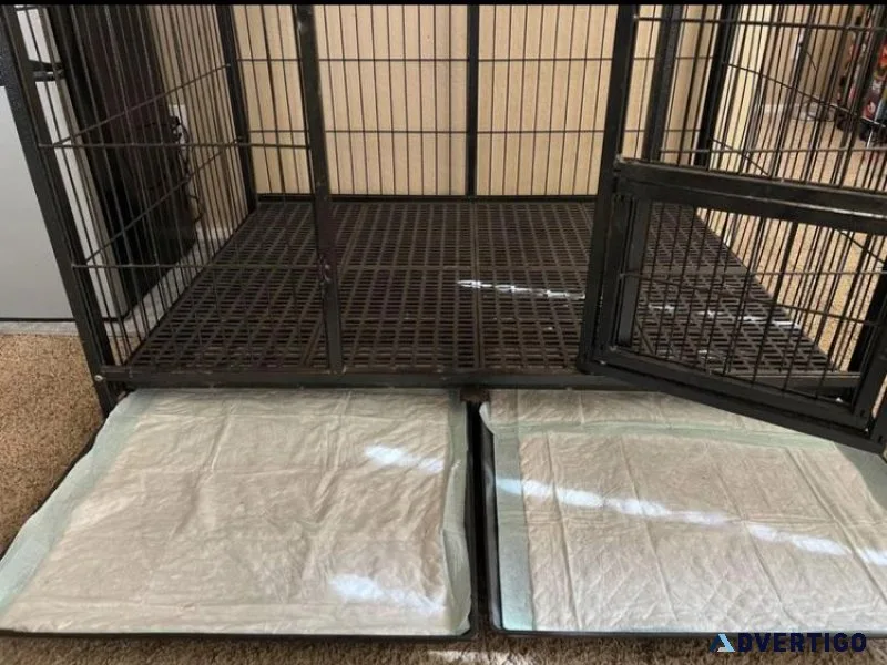 Extra large dog kennel