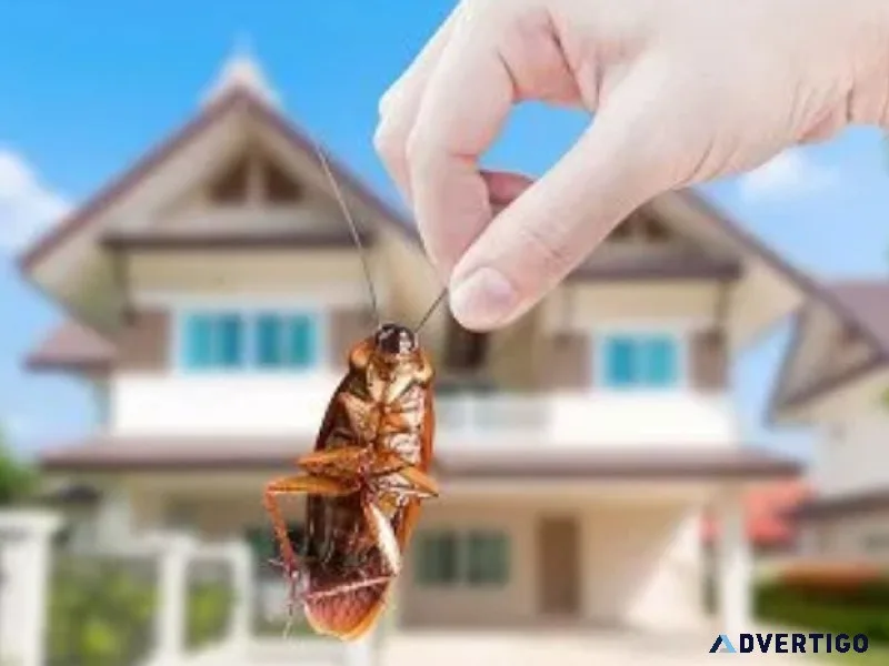 Cockroach control in kolkata