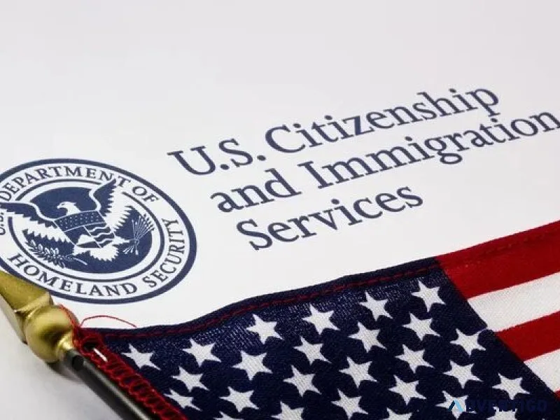 Best immigration services in zirakpur