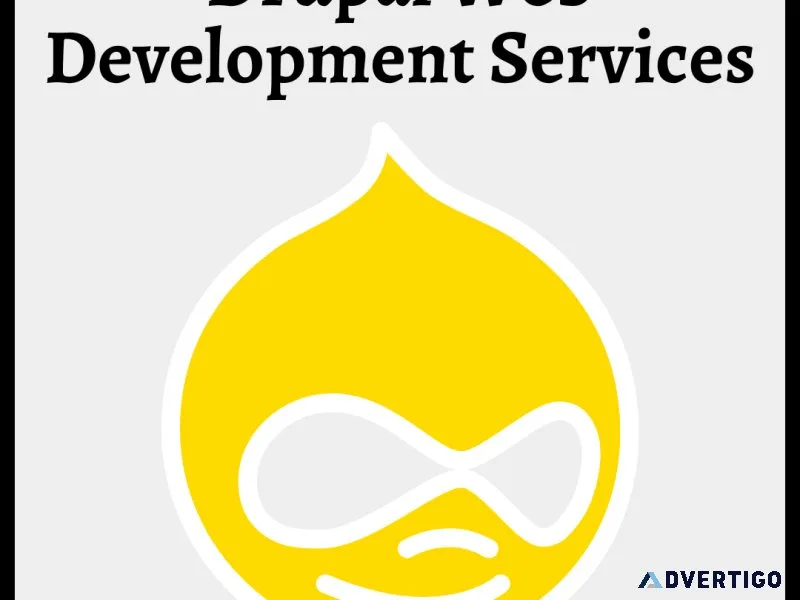 Premier drupal web development services by csschopper