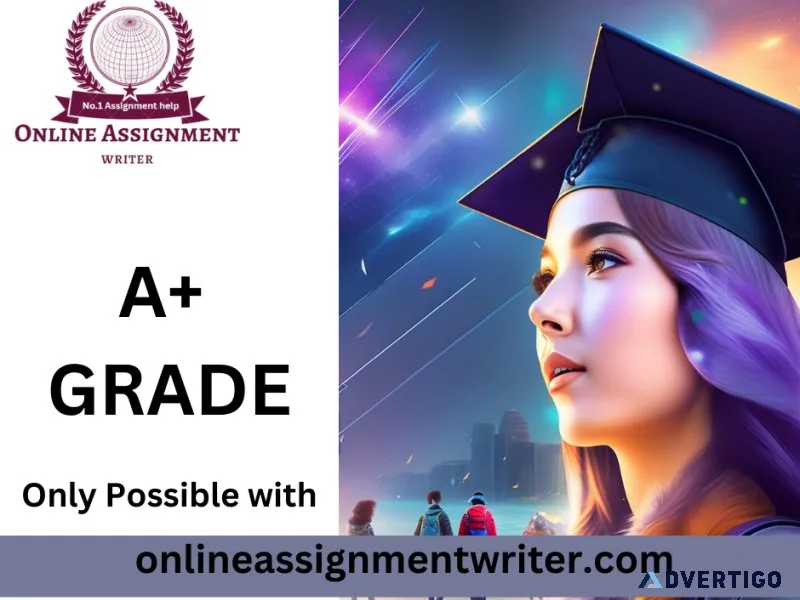 Professional assignment help service