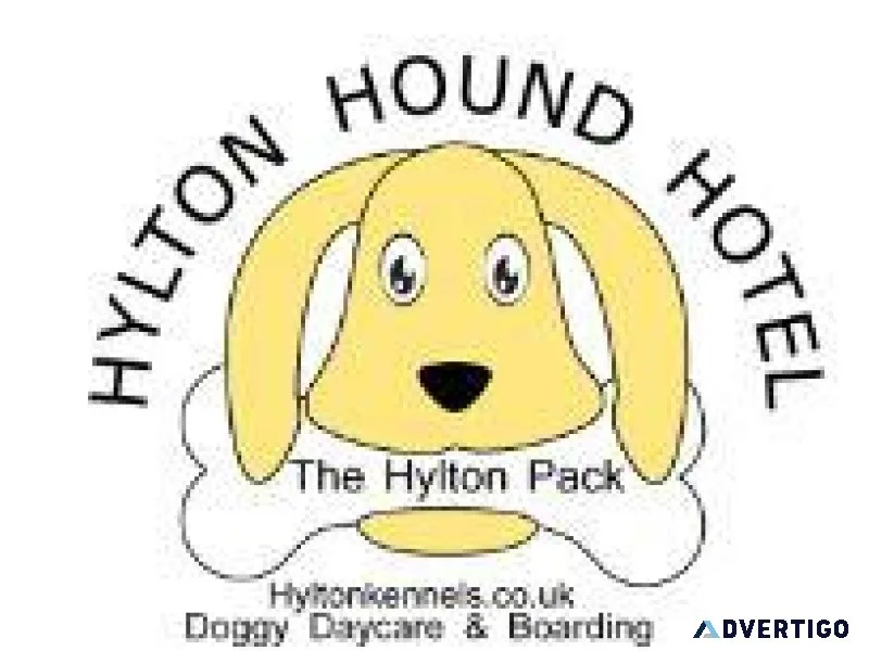 Premier Doggy Day Care Service in Solihull
