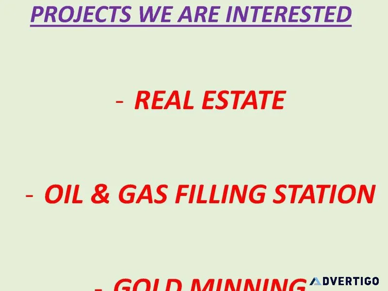 Investor looking for a reliable foreign partner to invest