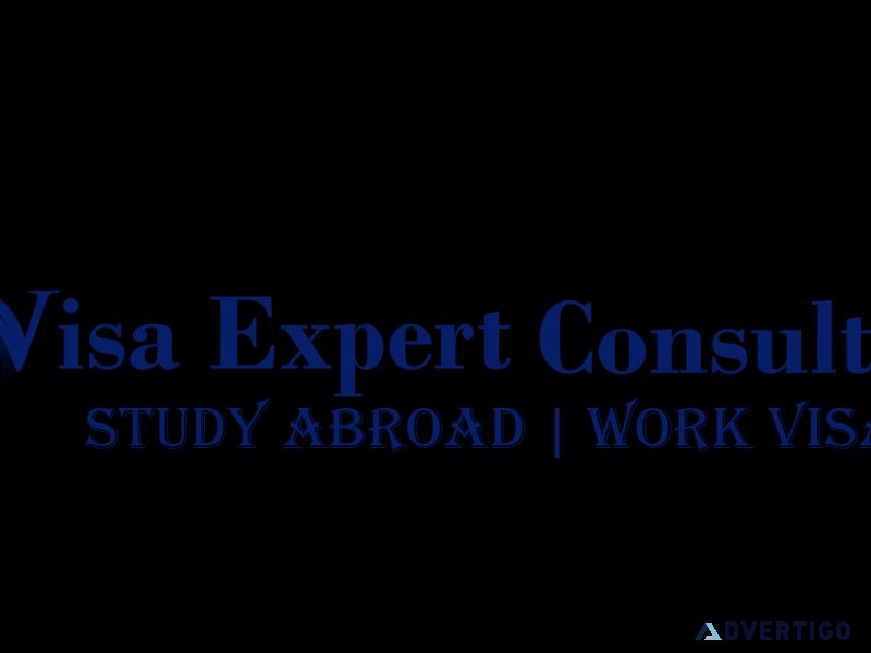 Best overseas education consultants in hyderabad-visaexpert