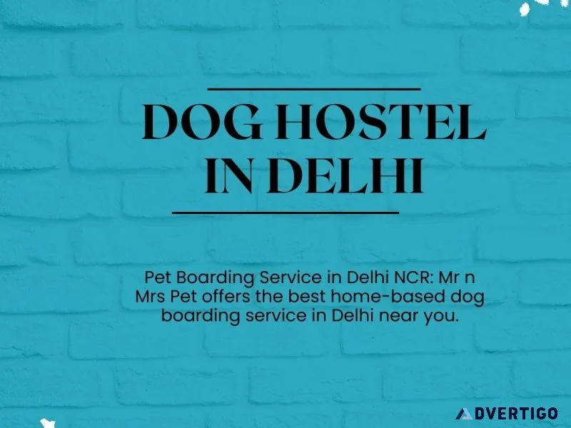 Dog Hostel and Pet Boarding Service in Delhi NCR