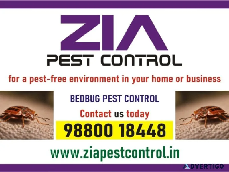 Pest control service | effective bedbug treatments bangalore