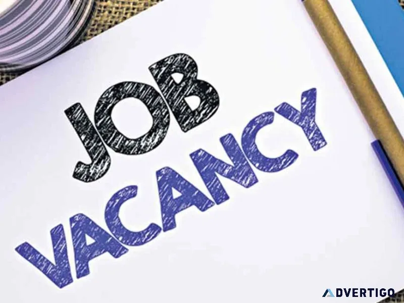 Full Stack Developer Jobs