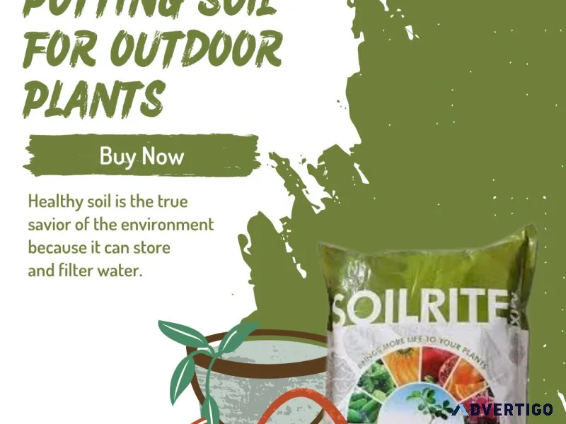 Best potting soil for outdoor plants