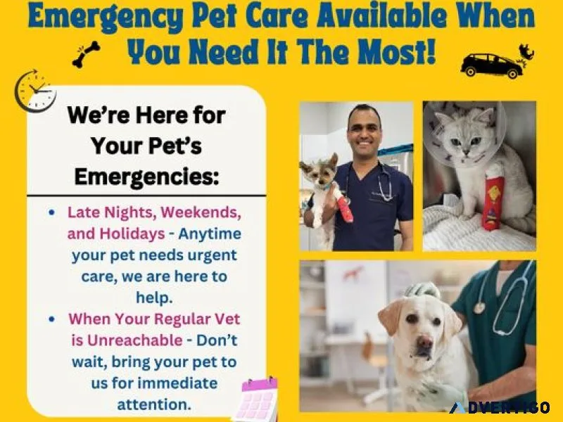 Petsville animal hospital- richmond vet