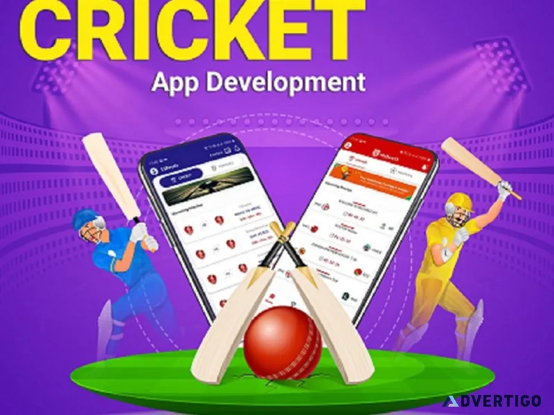 Fantasy cricket app development in india