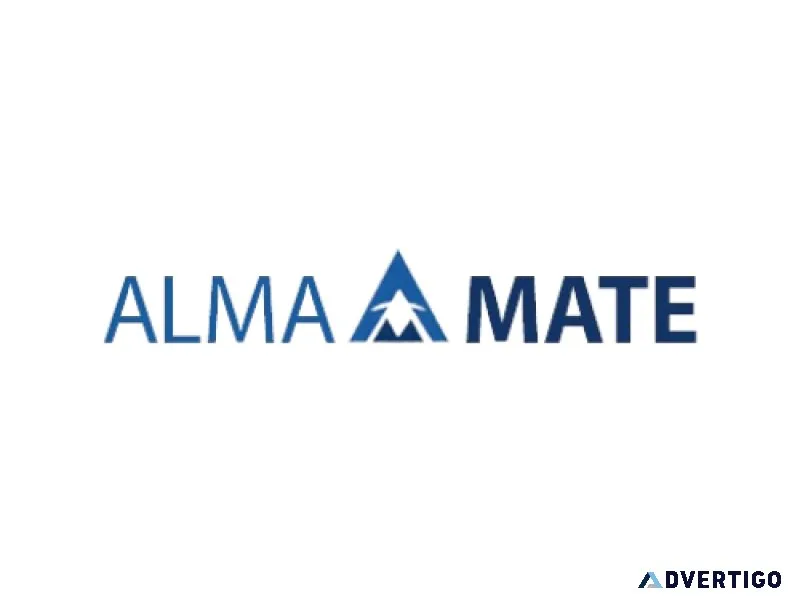 Almamate info tech - best salesforce training in noida