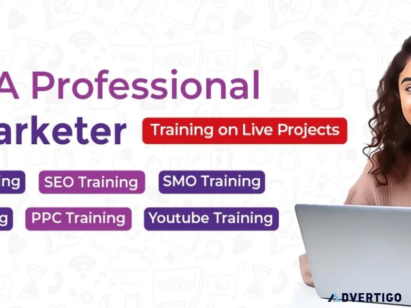 Seo training in jaipur