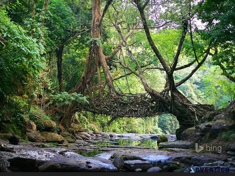 Vacation-hungry? explore the top meghalaya holiday packages