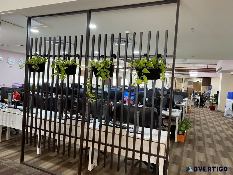 Indoor plant rental services in gurgaon and noida