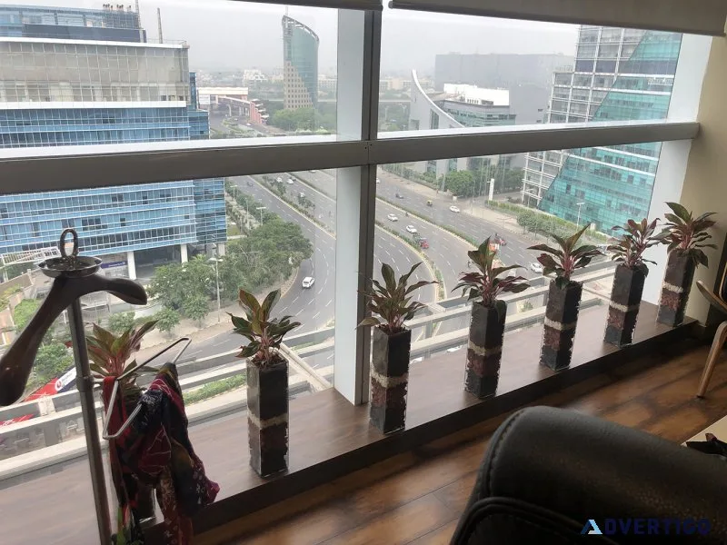 Plants on rent for refreshing offices