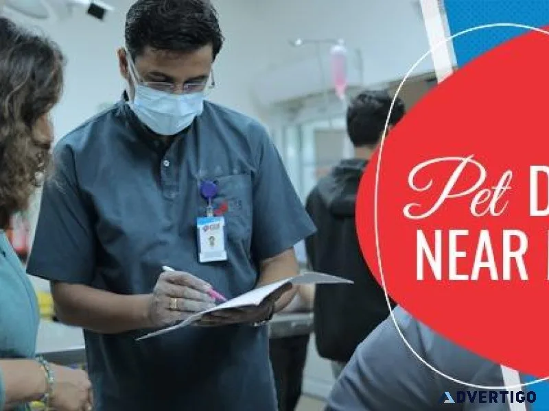 Pet Doctor Near Me  CGS Hospital Sarojini Nagar