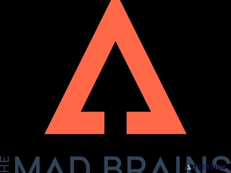 The mad brains - providing industry best it solutions