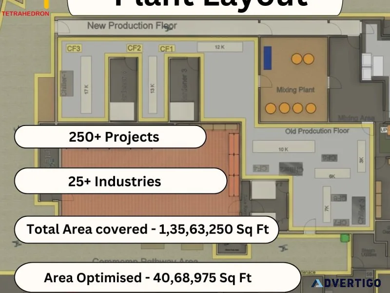 What role does safety play in the design of a plant layout?
