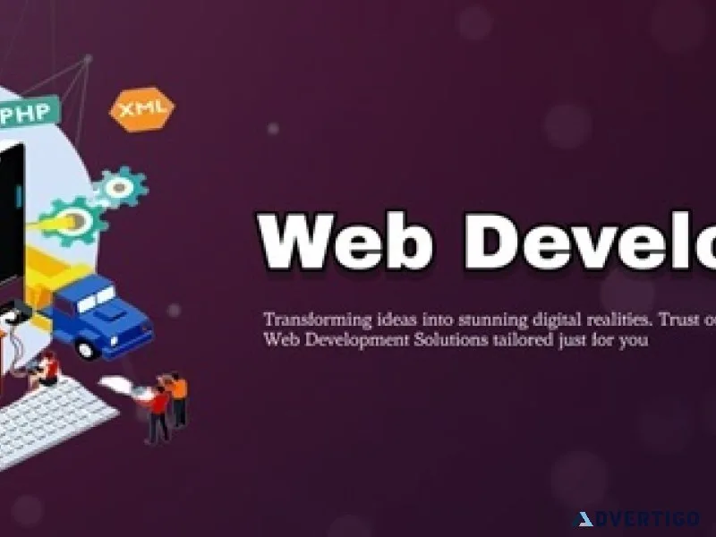Web development company in india: acemakers technologies