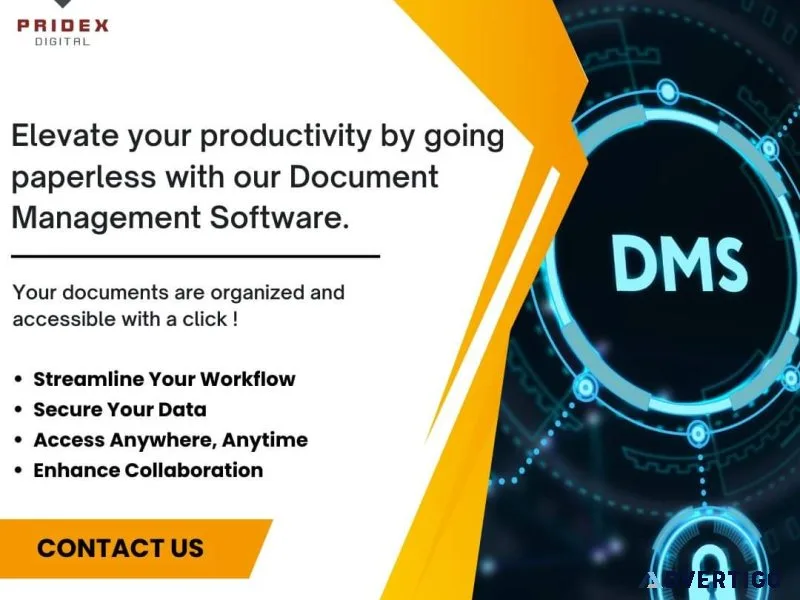 Financial document organization software