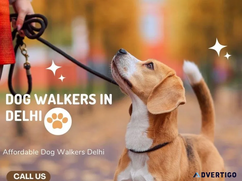Expert Dog Walking Services Delhi