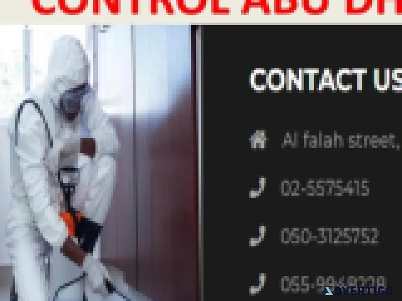 Best flies pest control services abu dhabi | flies control
