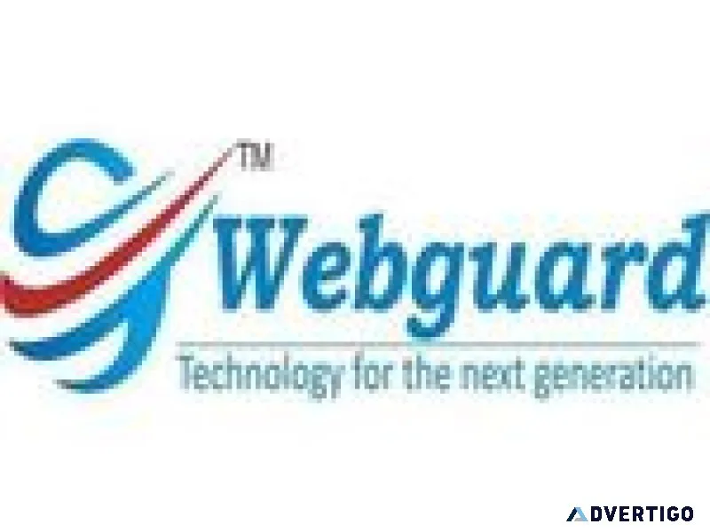 Website development