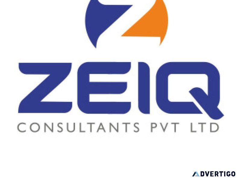 Zeiq consultants
