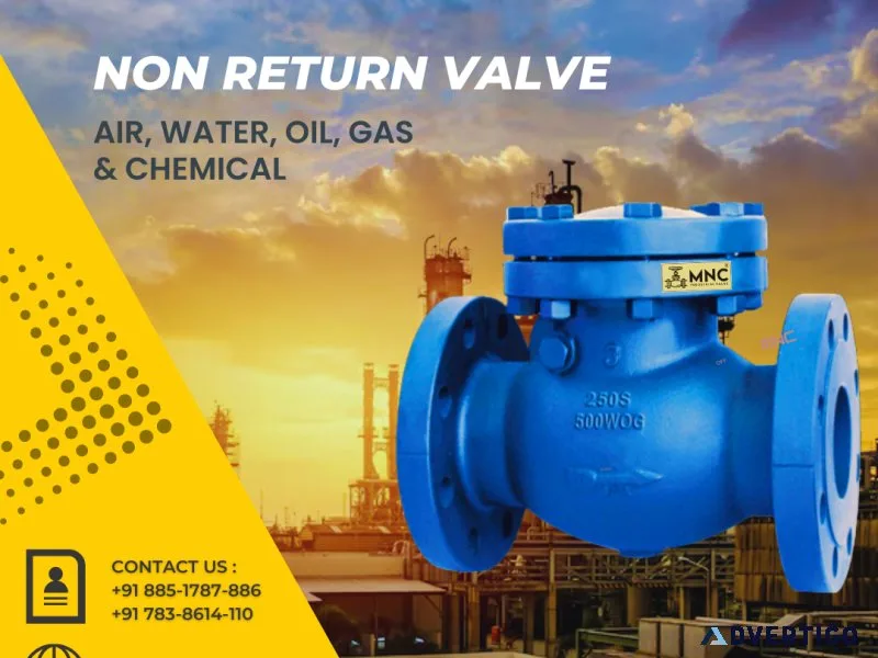 Non return valve manufacturer and exporter in india