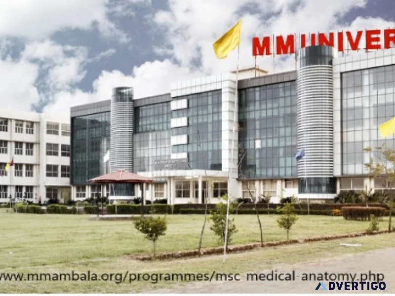 Msc medical anatomy admission 2024